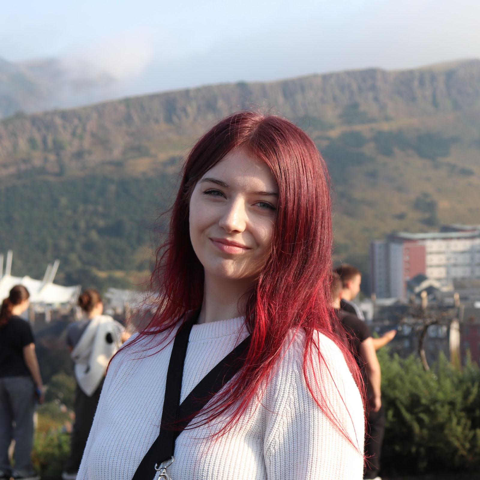 Interim Student Trustee